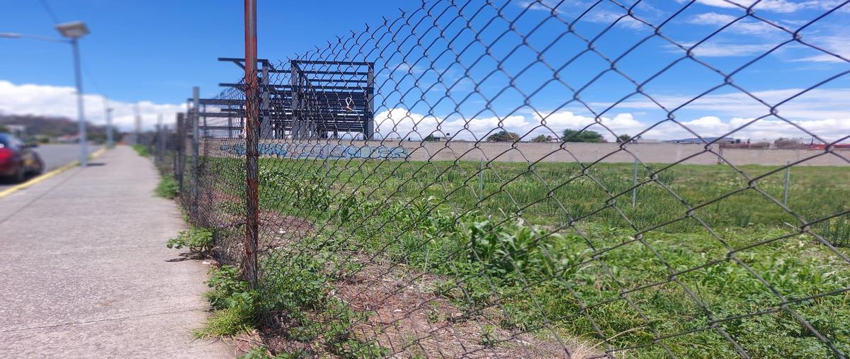 Foto de terreno habitacional en venta en  , santa cruz, metepec, méxico, 0 No. 03