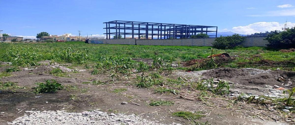 Foto de terreno habitacional en venta en  , santa cruz, metepec, méxico, 0 No. 03