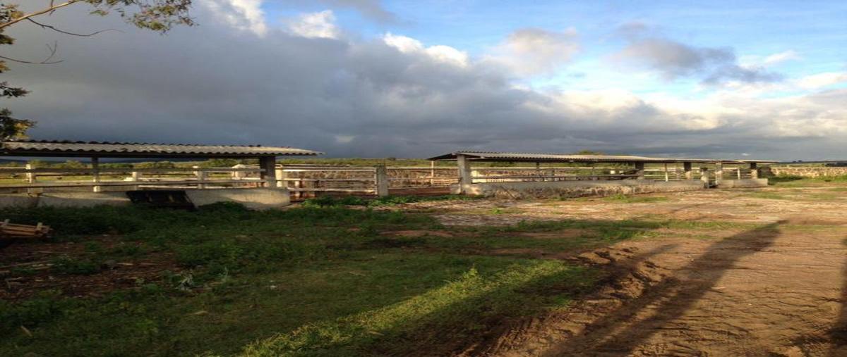 Foto de terreno habitacional en , santa cruz ojo de agua, epitacio huerta, michoacán de ocampo, 0 foto 03 Foto de terreno habitacional en venta en , santa cruz ojo de agua, epitacio huerta, michoacán de ocampo, 0 No. 03