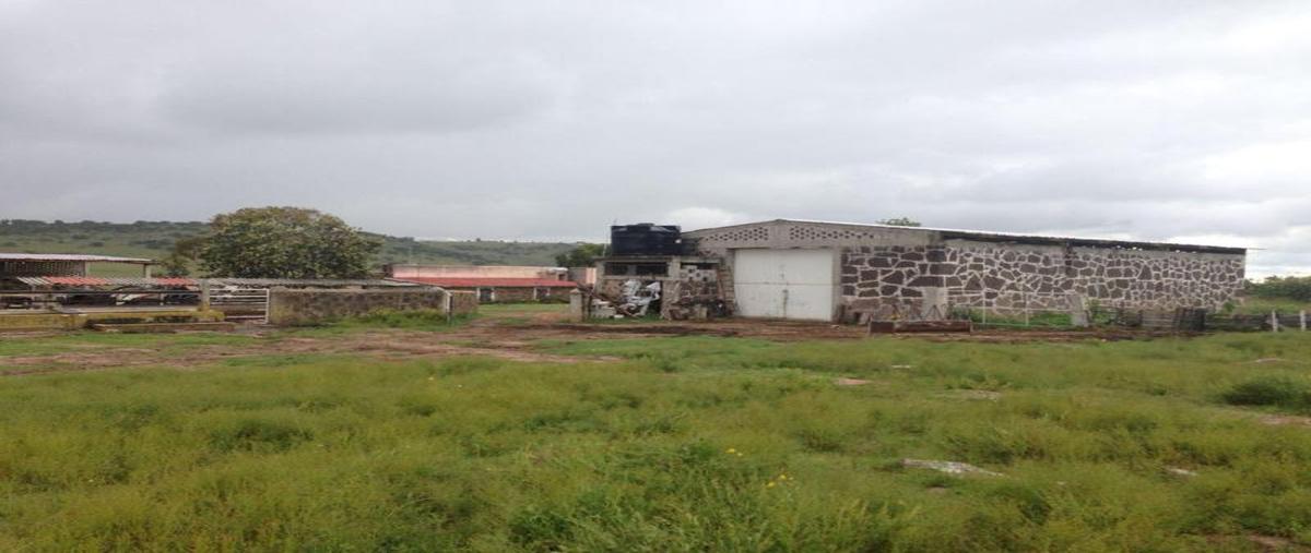 Foto de terreno habitacional en , santa cruz ojo de agua, epitacio huerta, michoacán de ocampo, 0 foto 05 Foto de terreno habitacional en venta en , santa cruz ojo de agua, epitacio huerta, michoacán de ocampo, 0 No. 05
