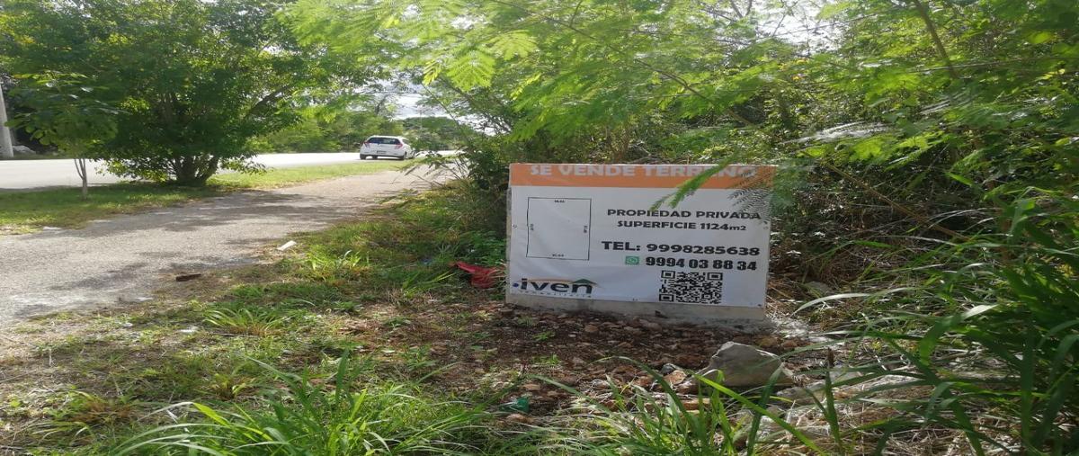 Foto de terreno habitacional en venta en  , santa cruz palomeque, mérida, yucatán, 27201789 No. 03