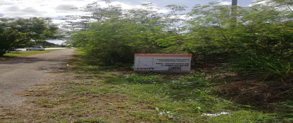 Foto de terreno habitacional en venta en  , santa cruz palomeque, mérida, yucatán, 27201789 No. 04