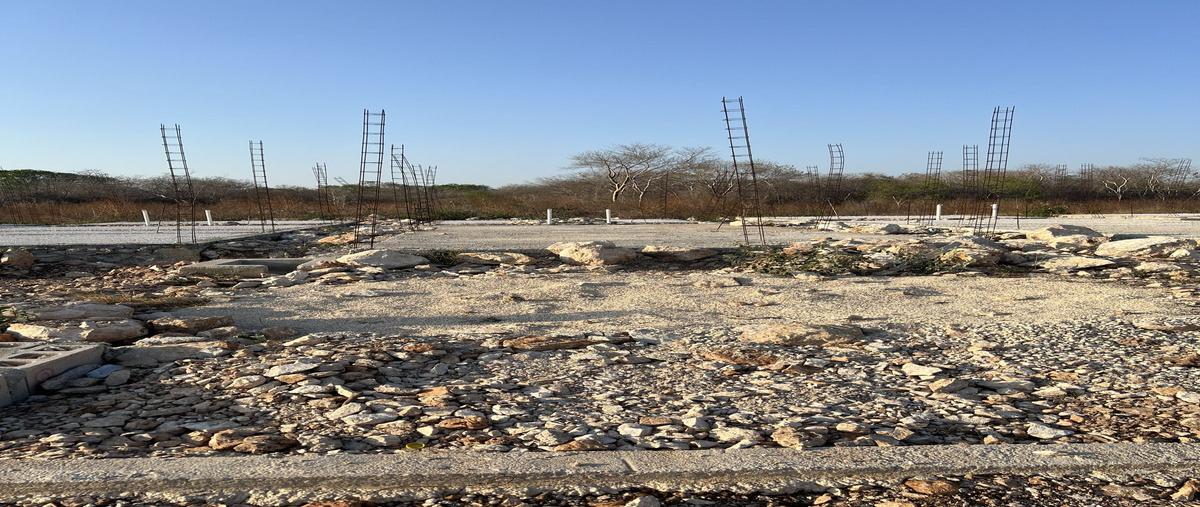 Foto de terreno habitacional en venta en  , santa cruz palomeque, mérida, yucatán, 28212303 No. 03