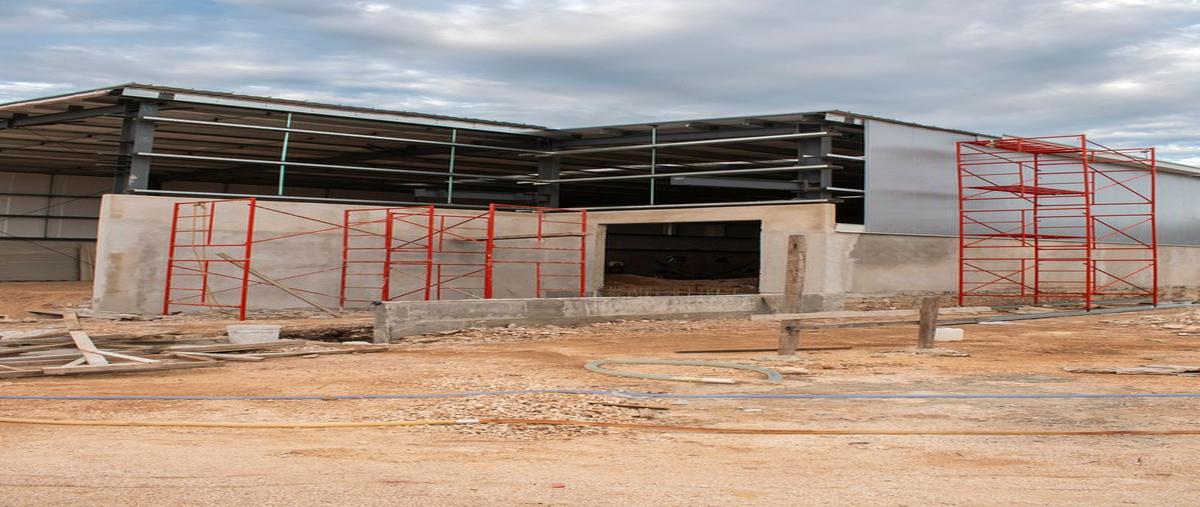 Foto de bodega en venta en  , santa cruz palomeque, mérida, yucatán, 30529771 No. 02