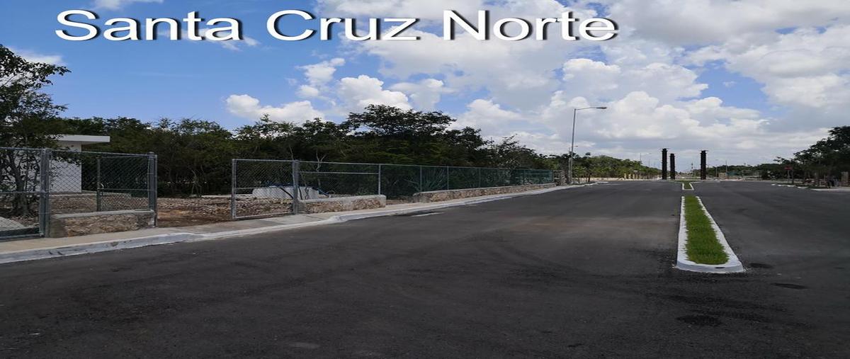 Foto de terreno habitacional en venta en  , santa cruz palomeque, mérida, yucatán, 31427136 No. 04