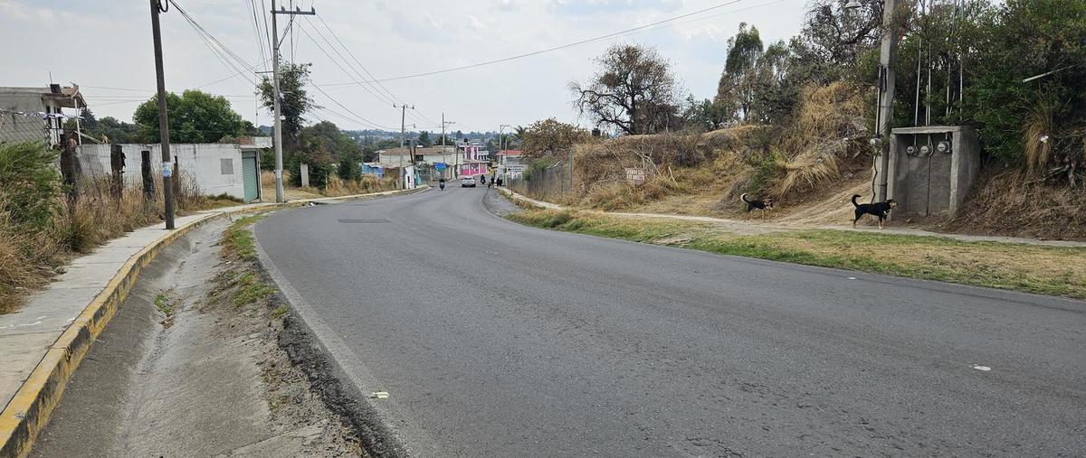 Foto de terreno habitacional en venta en  , santa cruz tlaxcala, santa cruz tlaxcala, tlaxcala, 30119567 No. 04