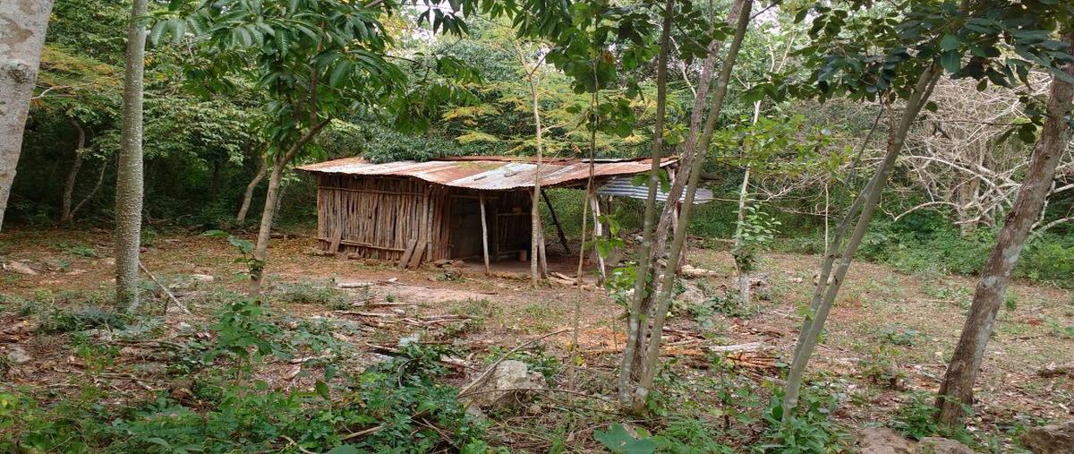 Foto de terreno habitacional en venta en  , santa cruz, valladolid, yucatán, 27708578 No. 05