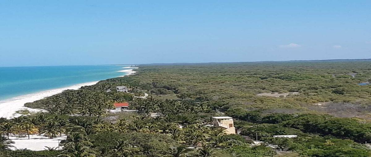 Foto de terreno habitacional en venta en  , santa cruz xixim, celestún, yucatán, 24218495 No. 03