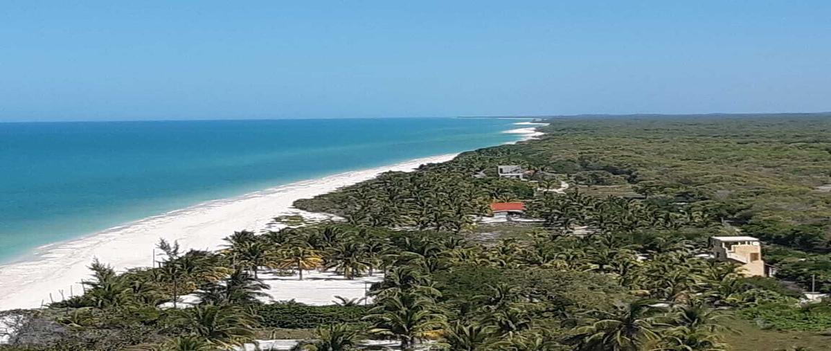 Foto de terreno habitacional en venta en  , santa cruz xixim, celestún, yucatán, 24218495 No. 04