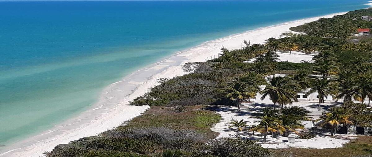 Foto de terreno habitacional en venta en  , santa cruz xixim, celestún, yucatán, 24218495 No. 05