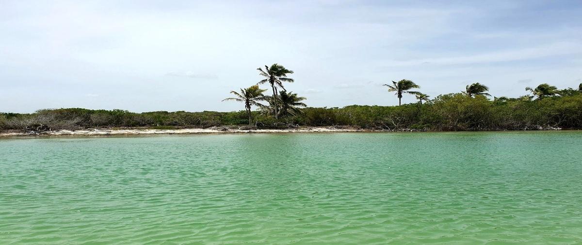Foto de terreno habitacional en venta en  , santa cruz xixim, celestún, yucatán, 28452203 No. 05