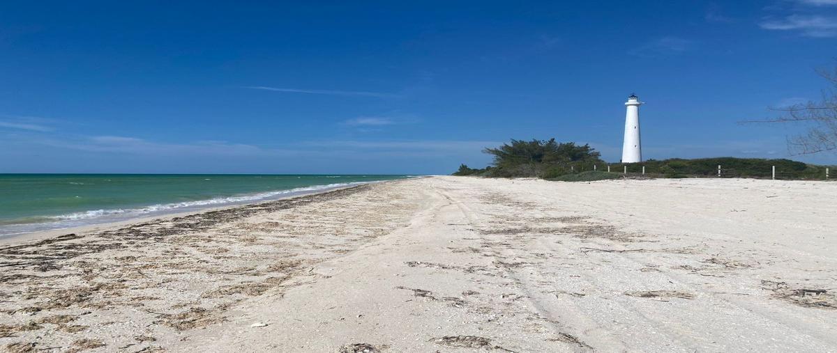 Foto de terreno habitacional en venta en  , santa cruz xixim, celestún, yucatán, 0 No. 03