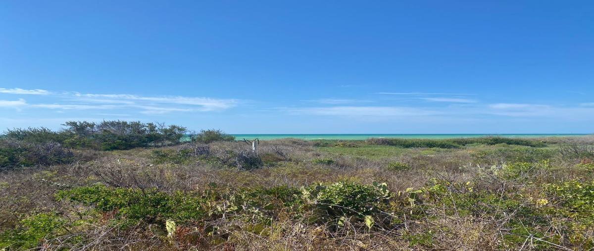 Foto de terreno habitacional en venta en  , santa cruz xixim, celestún, yucatán, 0 No. 04