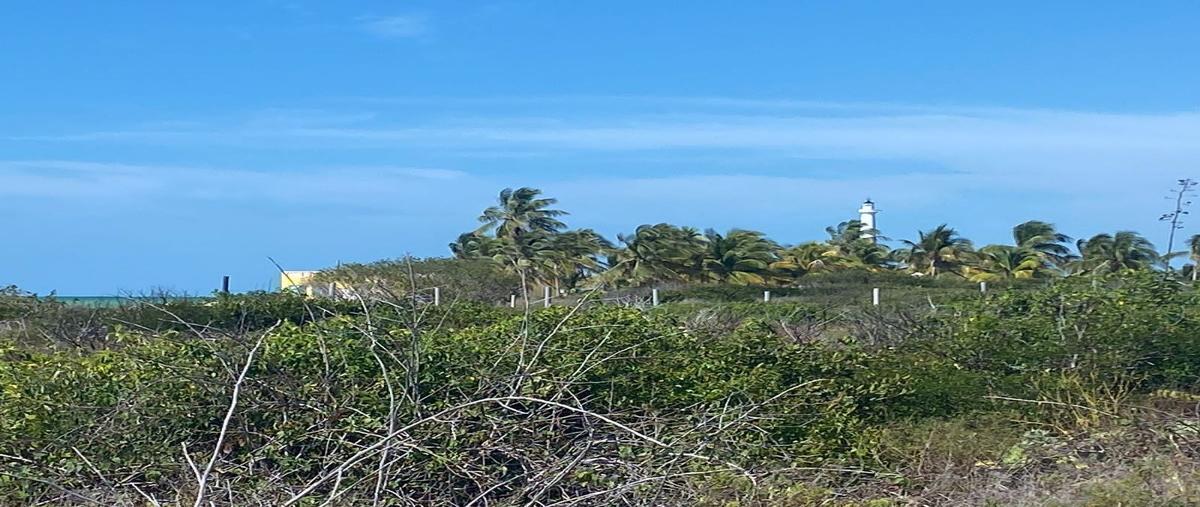 Foto de terreno habitacional en venta en  , santa cruz xixim, celestún, yucatán, 0 No. 05