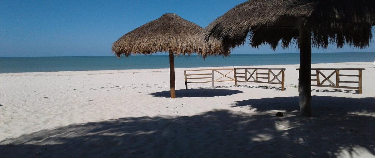 Foto de terreno habitacional en venta en  , santa cruz xixim, celestún, yucatán, 30531909 No. 04