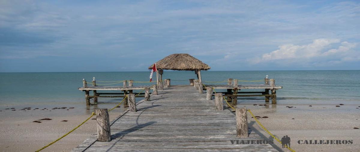 Foto de terreno habitacional en venta en  , santa cruz xixim, celestún, yucatán, 30531909 No. 05
