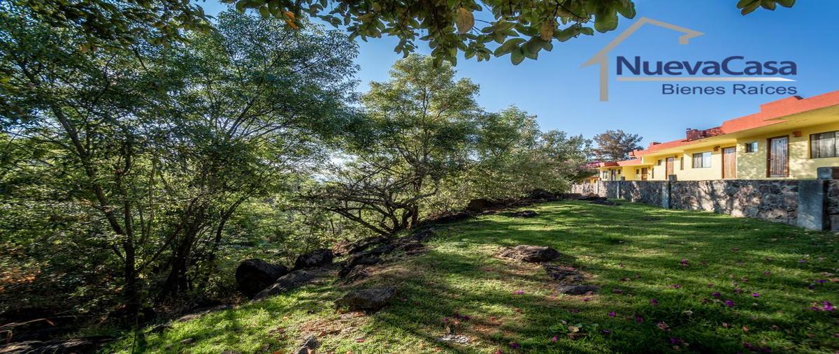 Foto de terreno habitacional en venta en  , santa cruz xochiaca, tenancingo, méxico, 30247111 No. 05