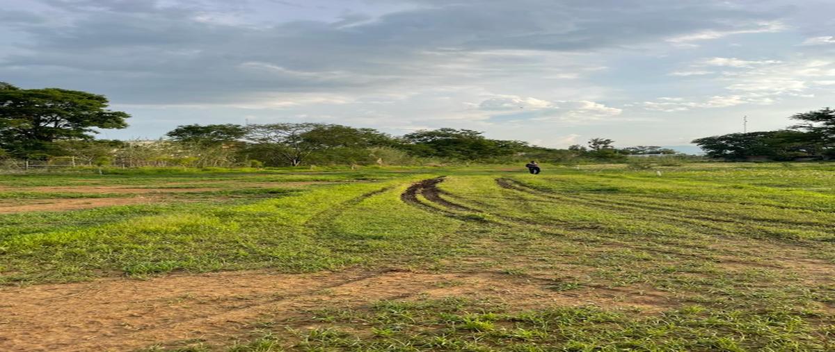 Foto de terreno habitacional en venta en  , santa cruz xoxocotlan, santa cruz xoxocotlán, oaxaca, 0 No. 04