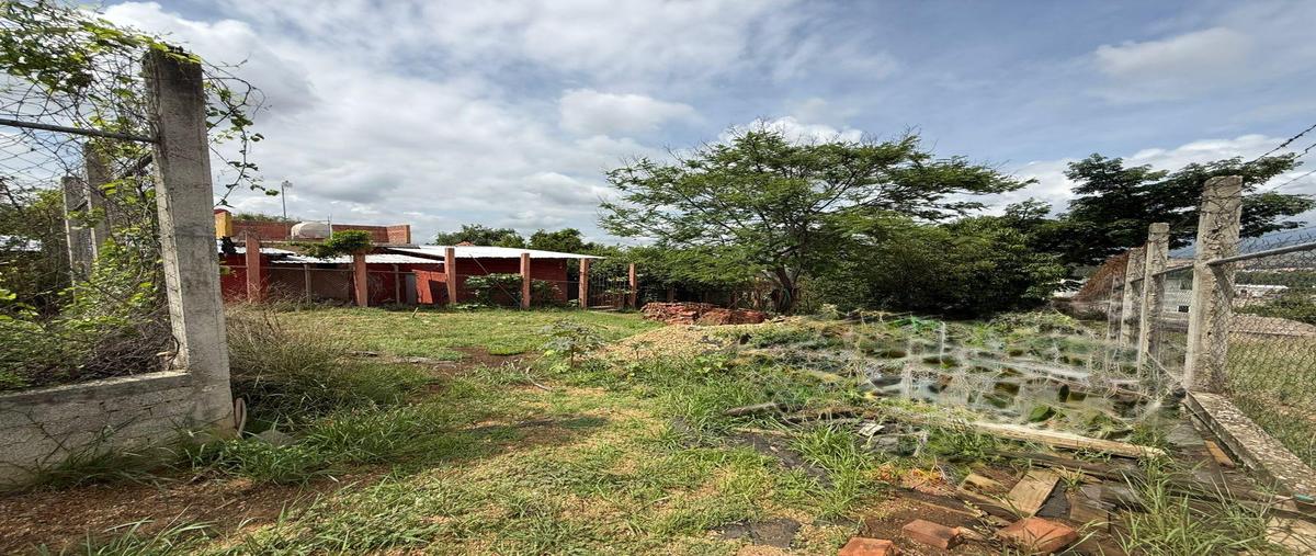 Foto de terreno habitacional en venta en  , santa cruz xoxocotlan, santa cruz xoxocotlán, oaxaca, 0 No. 05