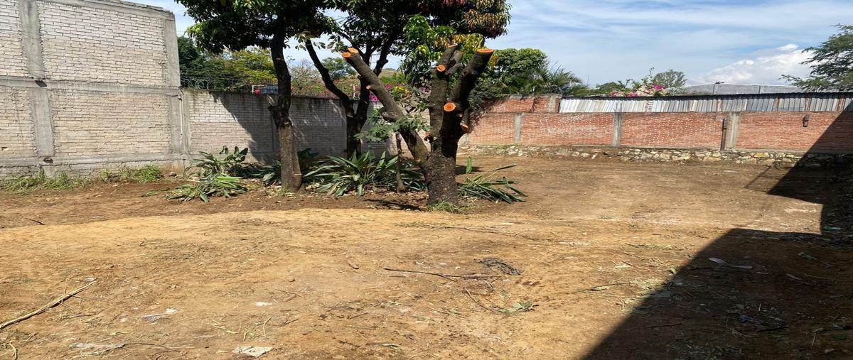 Foto de terreno habitacional en renta en  , santa cruz xoxocotlan, santa cruz xoxocotlán, oaxaca, 0 No. 05