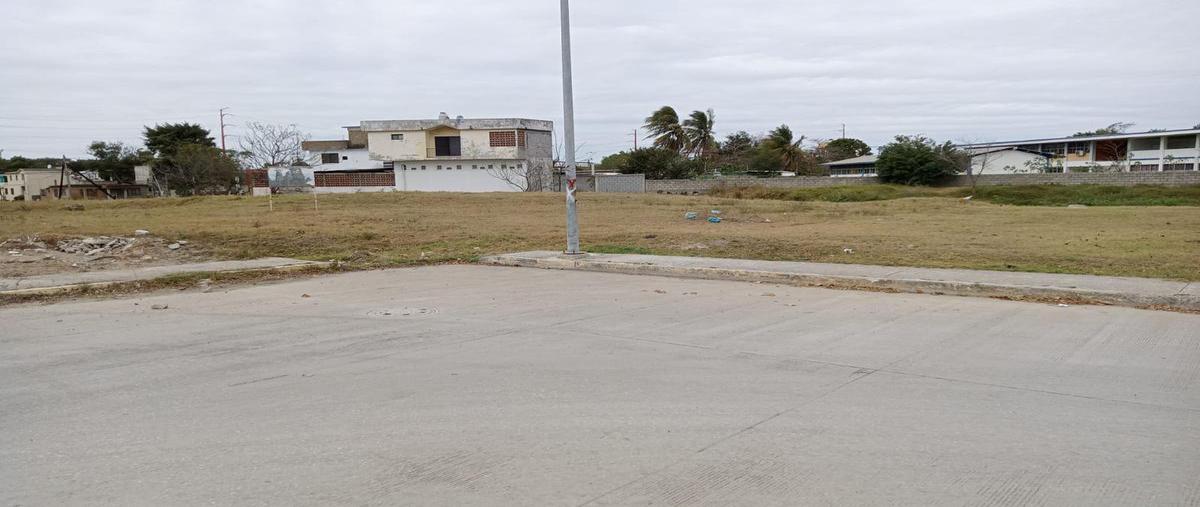Foto de terreno habitacional en venta en  , santa elena, altamira, tamaulipas, 24210889 No. 05