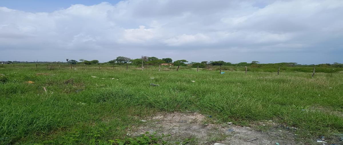 Foto de terreno habitacional en , santa elena, altamira, tamaulipas, 0 foto 04 Foto de terreno habitacional en venta en , santa elena, altamira, tamaulipas, 0 No. 04