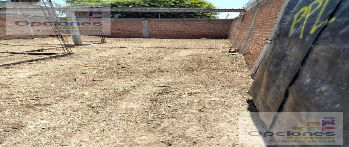 Foto de terreno habitacional en venta en  , santa elena de la cruz, salamanca, guanajuato, 26784062 No. 04