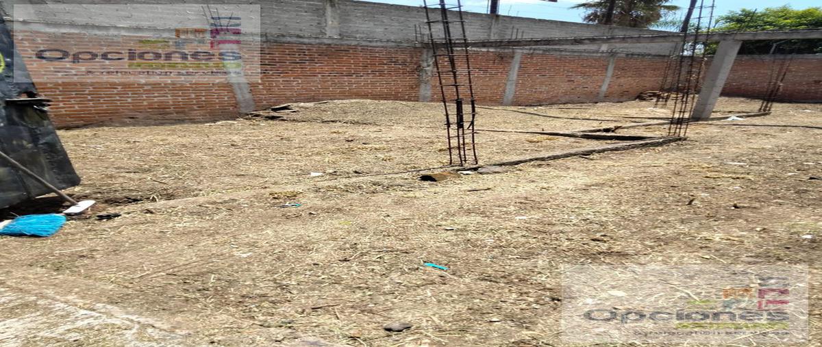 Foto de terreno habitacional en venta en  , santa elena de la cruz, salamanca, guanajuato, 26784062 No. 05