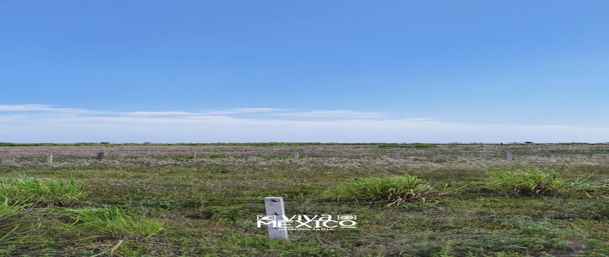 Foto de terreno habitacional en venta en  , santa elena (el puertecito), santa maría colotepec, oaxaca, 30260996 No. 04
