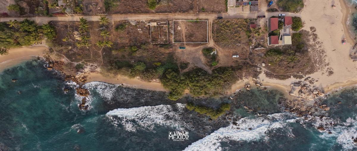 Foto de terreno habitacional en venta en  , santa elena (el puertecito), santa maría colotepec, oaxaca, 31068284 No. 04