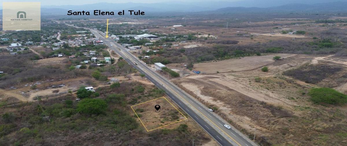 Foto de terreno habitacional en venta en  , santa elena el tule, santa maría tonameca, oaxaca, 0 No. 03