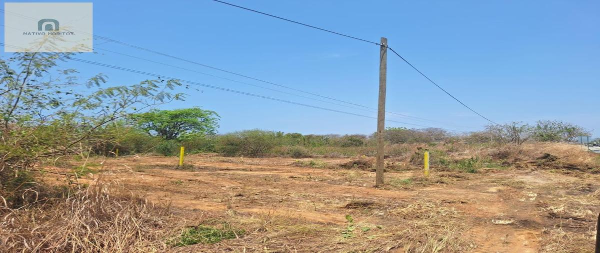 Foto de terreno habitacional en venta en  , santa elena el tule, santa maría tonameca, oaxaca, 0 No. 04