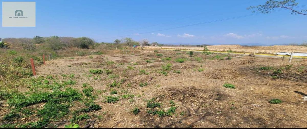 Foto de terreno habitacional en venta en  , santa elena el tule, santa maría tonameca, oaxaca, 0 No. 05