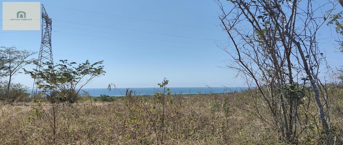 Foto de terreno habitacional en venta en  , santa elena el tule, santa maría tonameca, oaxaca, 0 No. 04