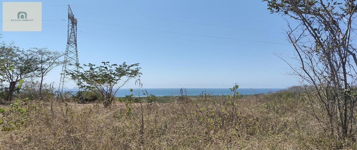 Foto de terreno habitacional en venta en  , santa elena el tule, santa maría tonameca, oaxaca, 0 No. 05
