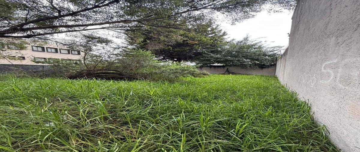 Foto de terreno habitacional en renta en  , santa elena, san mateo atenco, méxico, 0 No. 05