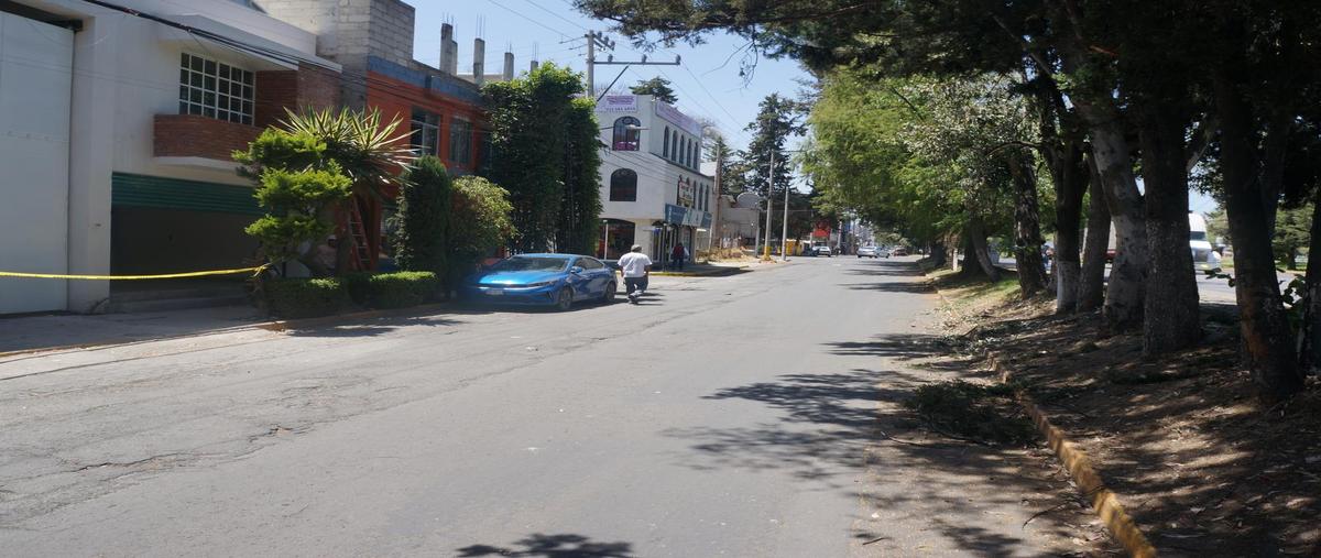 Foto de terreno habitacional en renta en  , santa elena, san mateo atenco, méxico, 0 No. 05