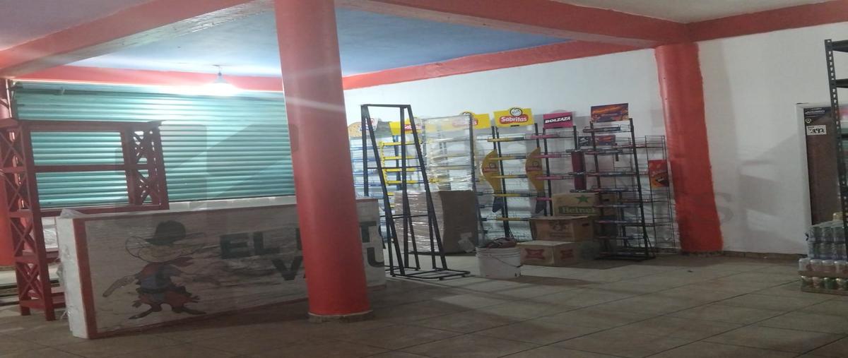 Foto de local en renta en  , santa elena, san mateo atenco, méxico, 0 No. 04