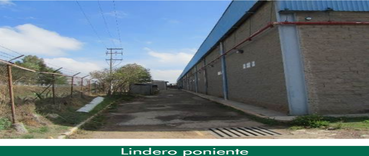 Foto de nave industrial en venta en  , santa elena, tulancingo de bravo, hidalgo, 28244766 No. 02