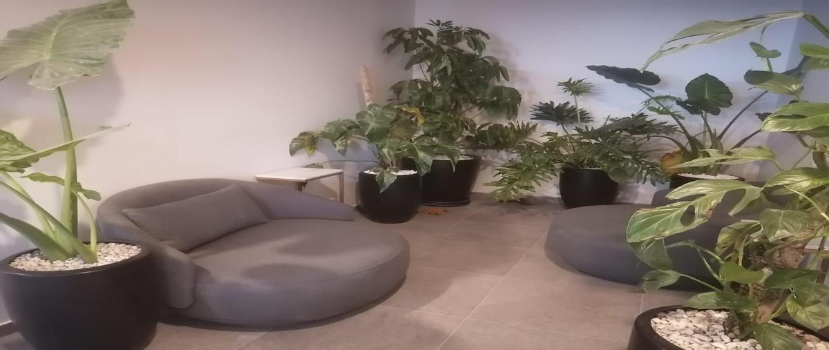 Foto de oficina en renta en  , santa fe, álvaro obregón, df / cdmx, 30371285 No. 05
