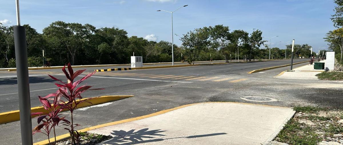 Foto de terreno habitacional en , santa fe del carmen, solidaridad, quintana roo, 27851306 foto 03 Foto de terreno habitacional en venta en , santa fe del carmen, solidaridad, quintana roo, 27851306 No. 03