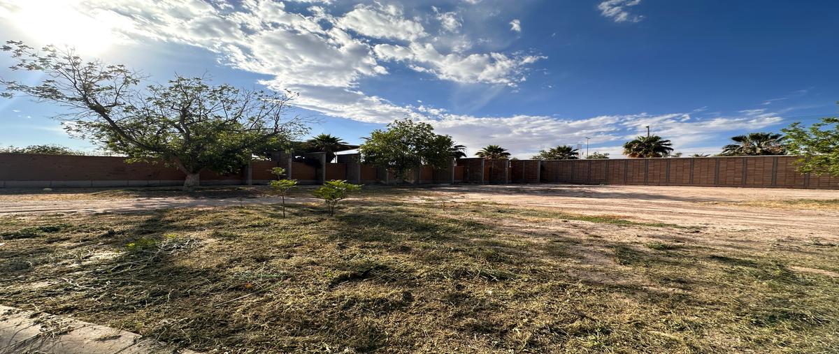 Foto de terreno habitacional en venta en santa fe , la barranca, torreón, coahuila de zaragoza, 26322754 No. 03