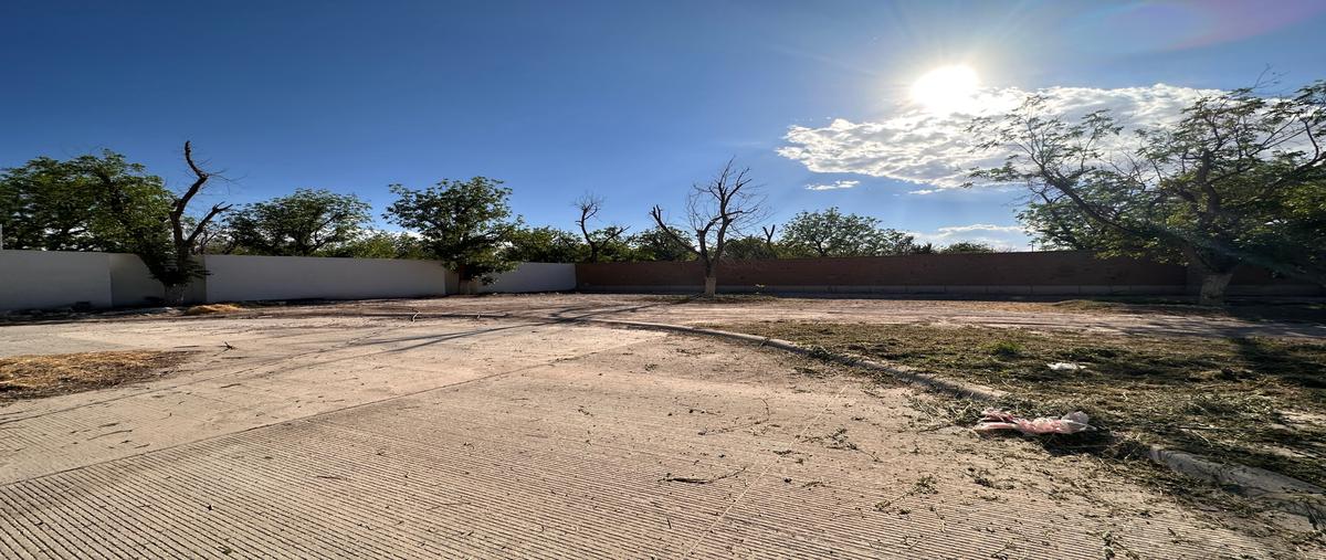 Foto de terreno habitacional en venta en santa fe , la barranca, torreón, coahuila de zaragoza, 26322754 No. 04