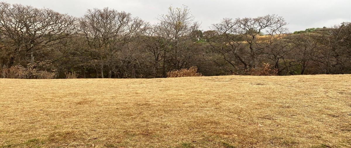 Foto de terreno habitacional en venta en  , santa fe la loma, álvaro obregón, df / cdmx, 27314206 No. 05