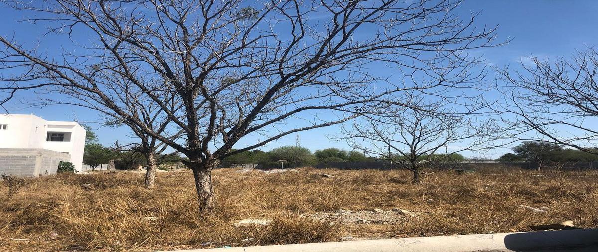 Foto de terreno habitacional en venta en  , santa fe, victoria, tamaulipas, 0 No. 04