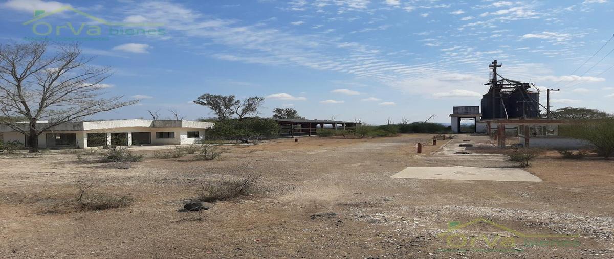 Foto de terreno habitacional en venta en  , santa gertrudis, altamira, tamaulipas, 20349483 No. 03
