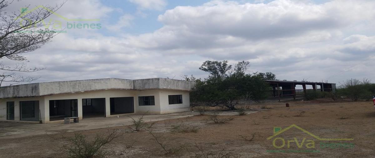 Foto de terreno habitacional en venta en  , santa gertrudis, altamira, tamaulipas, 20349483 No. 04