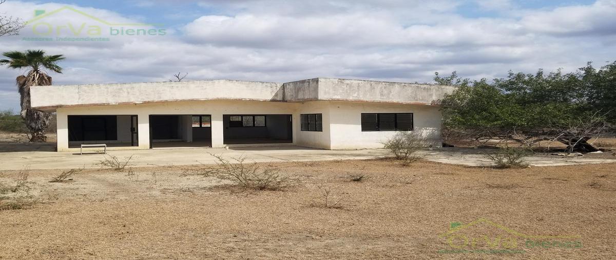 Foto de terreno habitacional en venta en  , santa gertrudis, altamira, tamaulipas, 20349483 No. 05