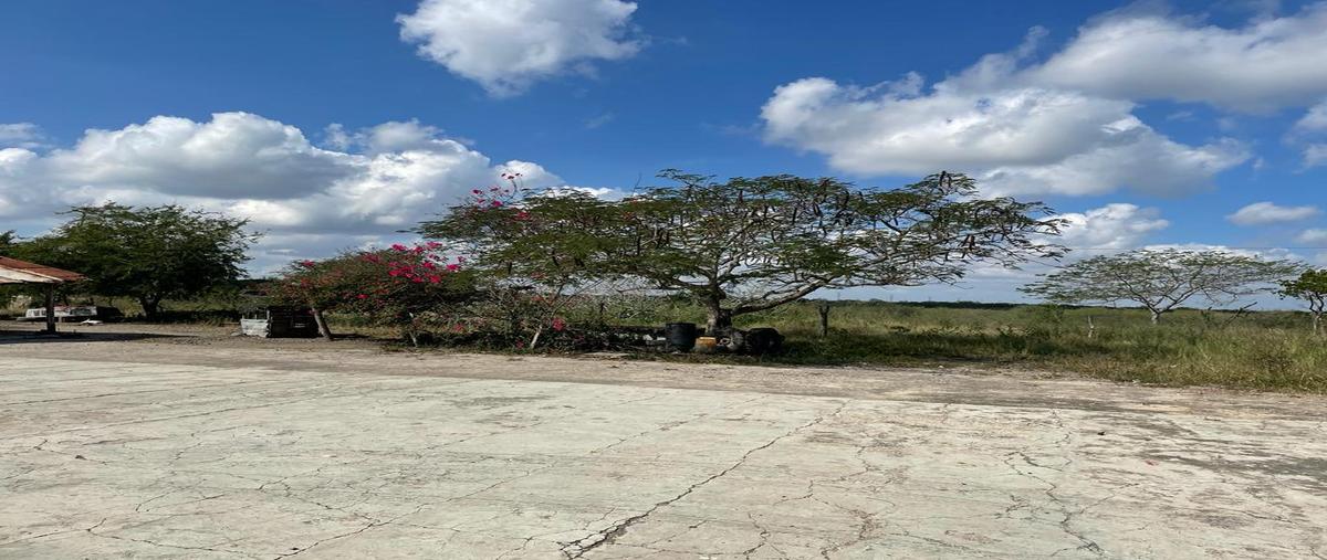 Foto de terreno habitacional en venta en  , santa gertrudis, altamira, tamaulipas, 24756407 No. 03