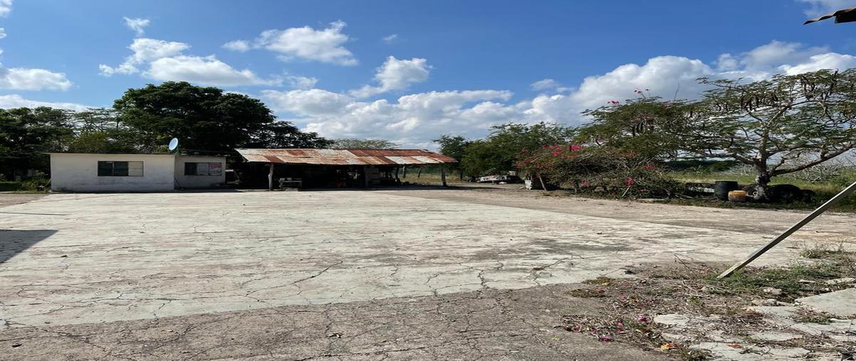 Foto de terreno habitacional en venta en  , santa gertrudis, altamira, tamaulipas, 24756407 No. 04